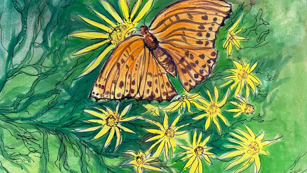 A watercolor painting of an orange butterfly resting on yellow flowers against a lush green background.