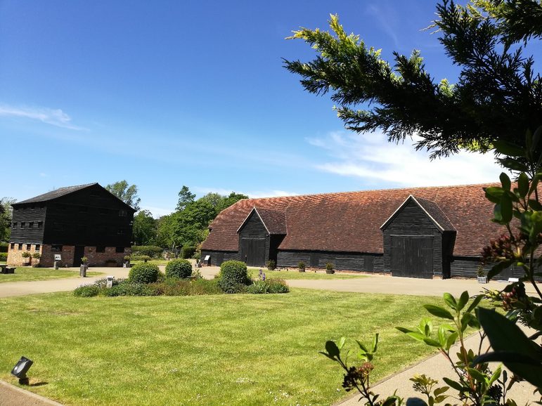 The courtyard of Headstone Manor and Museum in summer, green grass, the granary building and the great barn in the background.