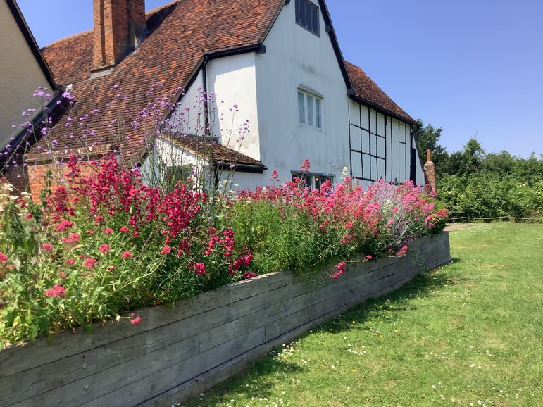 Pink flowers in bloom in a planter in the historic gardens of Headstone Manor