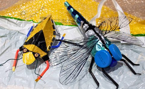 Two insect/bugs made from recycled materials. A crafted dragonfly on the right with blue bottle tops for eyes
