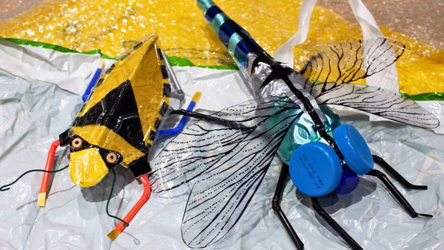 Two insect/bugs made from recycled materials. A crafted dragonfly on the right with blue bottle tops for eyes