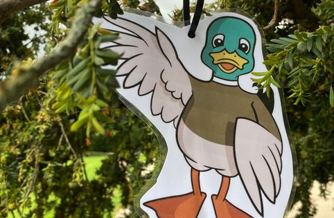 A laminated cut out of a mallard duck in a tree