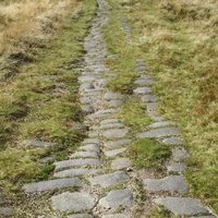 A roman road showing stones peaking out of grass and creating a path.