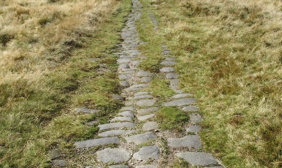 A roman road showing stones peaking out of grass and creating a path.