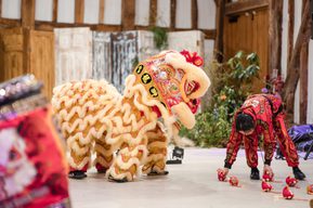 A large yellow dragon performs a dragon dance alongside a performer in traditional red attire
